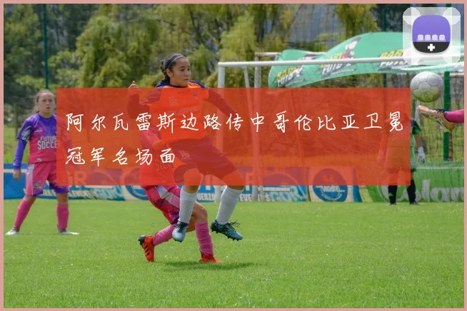 阿尔瓦雷斯边路传中哥伦比亚卫冕冠军名场面