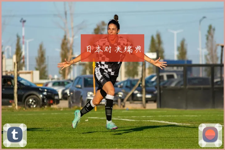 日本对决瑞典