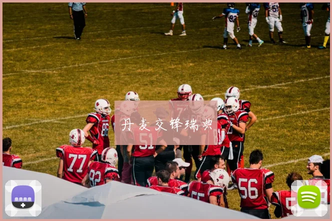 丹麦交锋瑞典