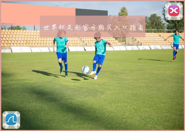 世界杯足彩官方购买入口指南
