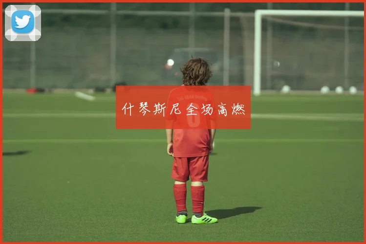 什琴斯尼全场高燃