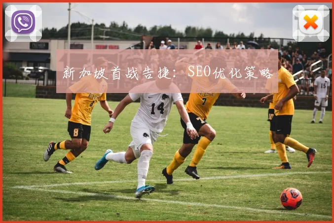 新加坡首战告捷：SEO优化策略