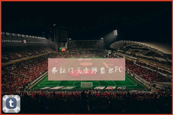 弗拉门戈会师首尔FC