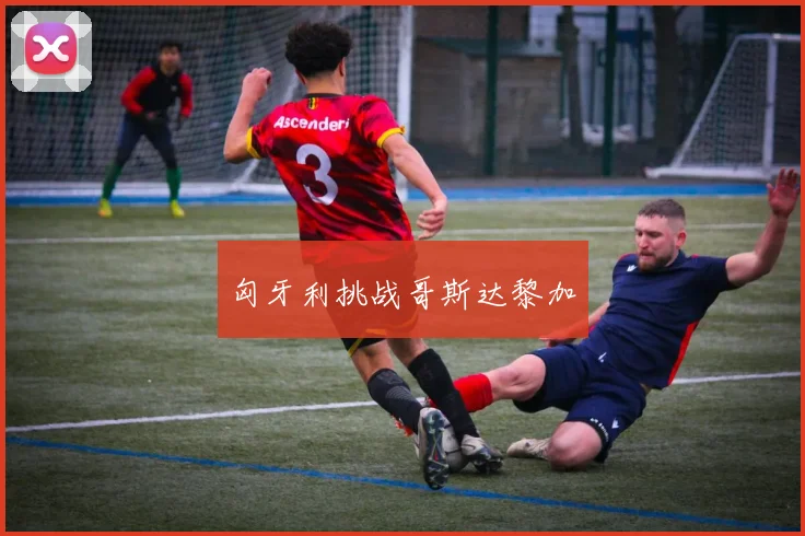 匈牙利挑战哥斯达黎加