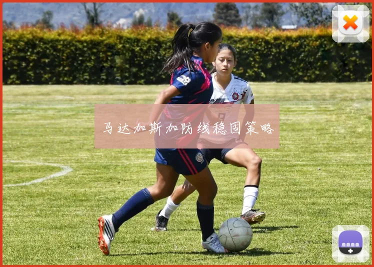 马达加斯加防线稳固策略