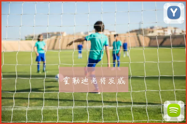 霍勒迪老将发威