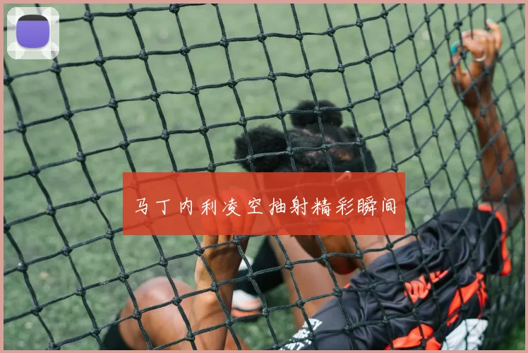 马丁内利凌空抽射精彩瞬间