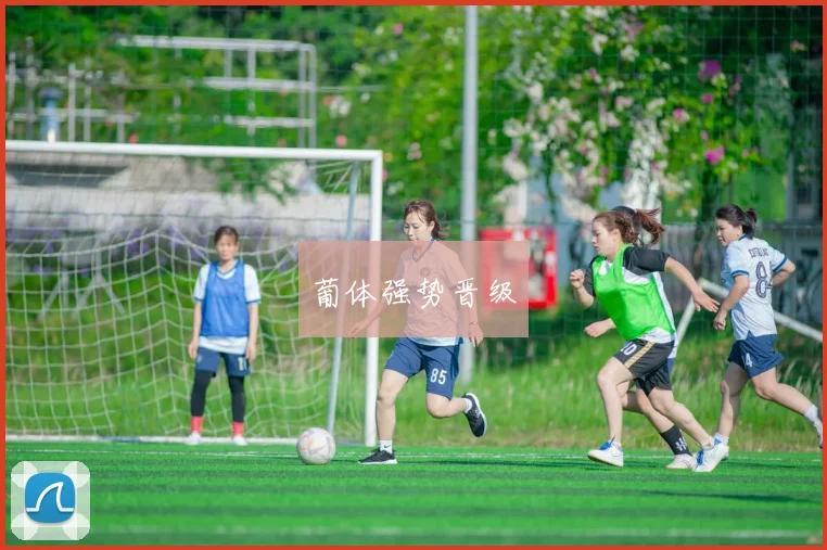 葡体强势晋级