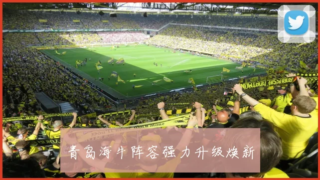 青岛海牛阵容强力升级焕新