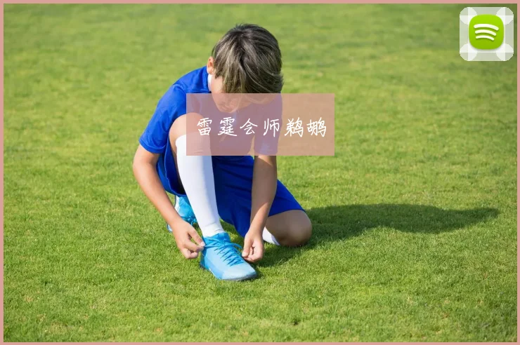 雷霆会师鹈鹕