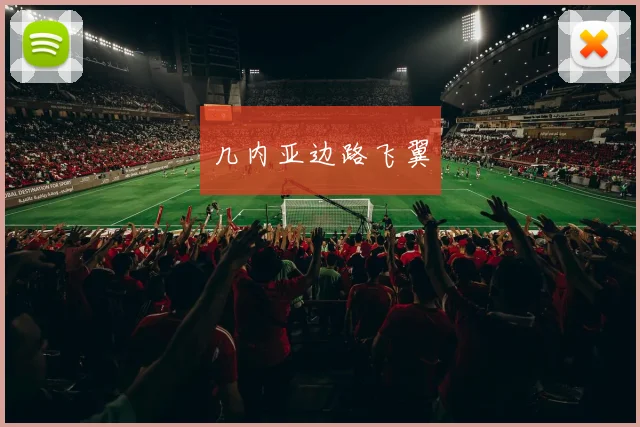 几内亚边路飞翼