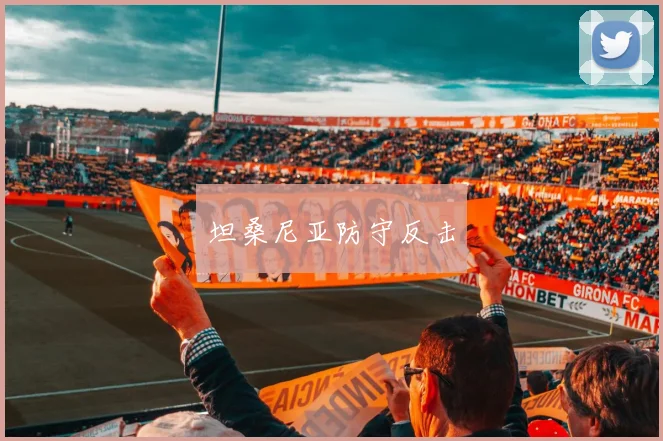 坦桑尼亚防守反击
