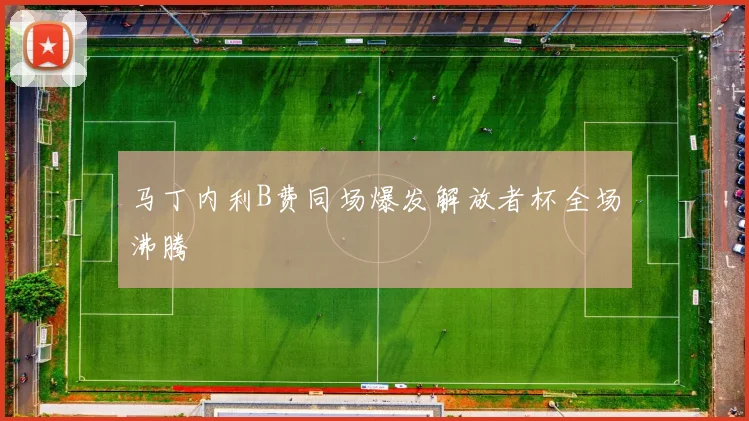 马丁内利B费同场爆发解放者杯全场沸腾