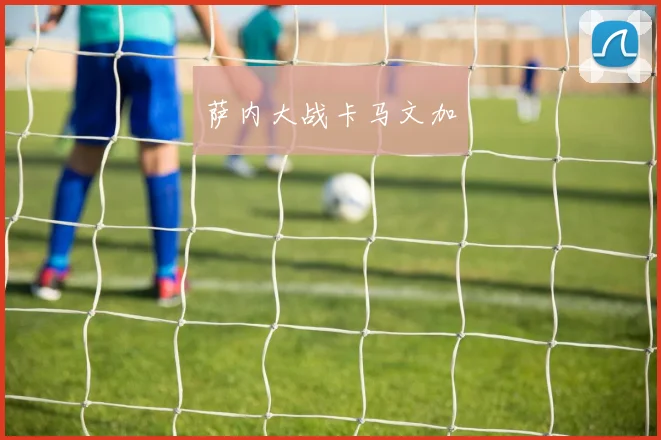 萨内大战卡马文加