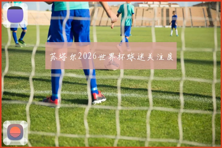 苏塔尔2026世界杯球迷关注度