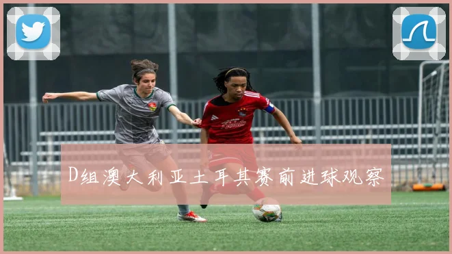 D组澳大利亚土耳其赛前进球观察