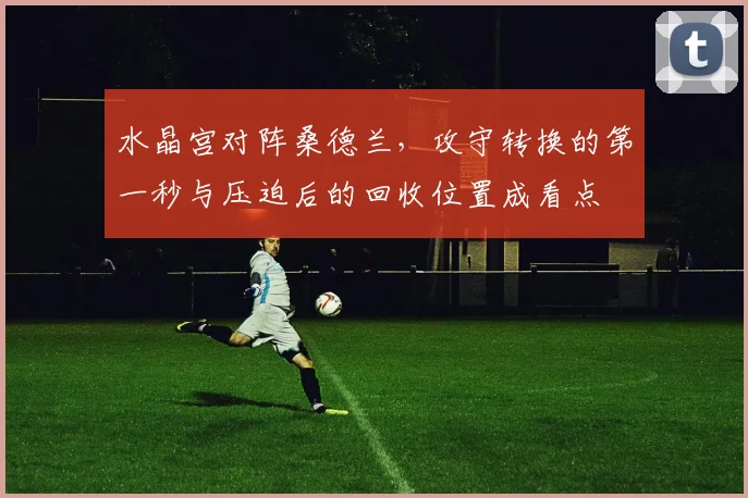 水晶宫对阵桑德兰，攻守转换的第一秒与压迫后的回收位置成看点