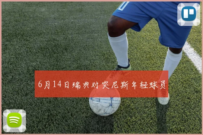 6月14日瑞典对突尼斯年轻球员